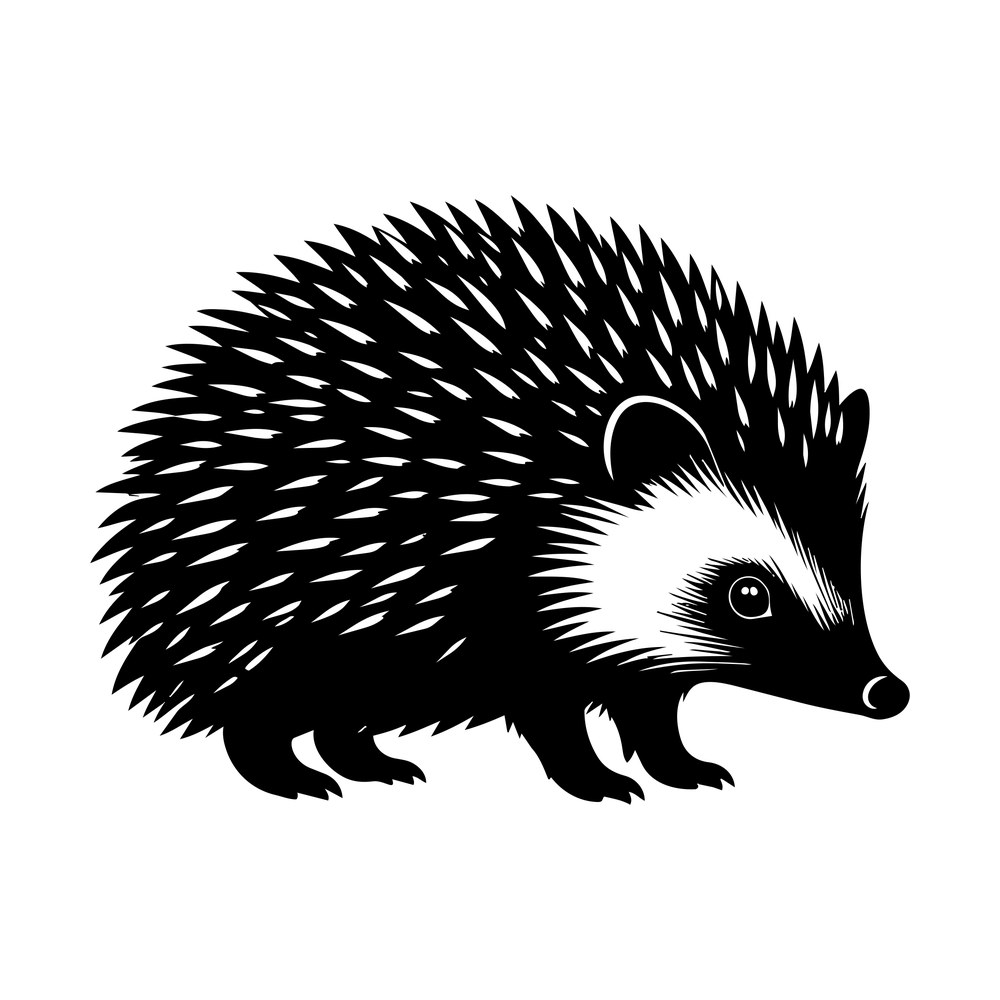 Hedgehog SVG cut file – SVG, PNG, DXF