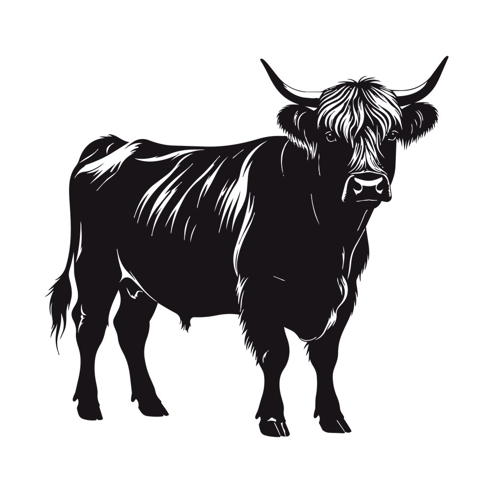 Highland Cow SVG cut file – SVG, PNG, DXF