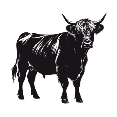 Highland Cow SVG cut file