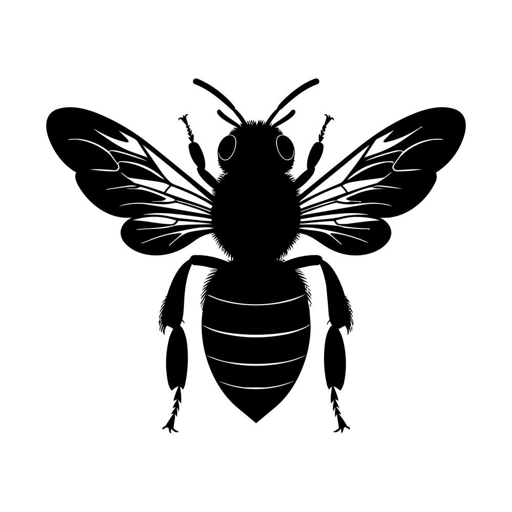 Black silhouette of a honeybee seen from above with spread veined wings and striped abdomen