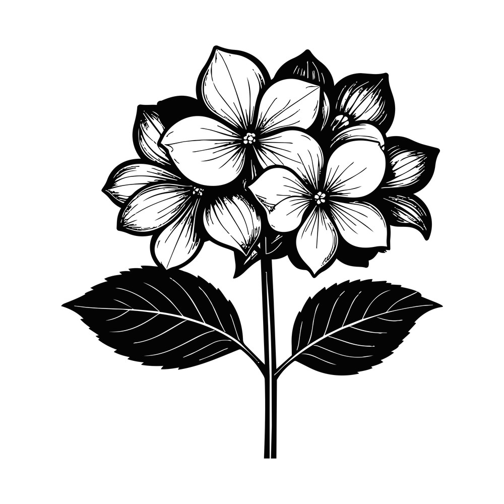 Hydrangea Line SVG cut file – SVG, PNG, DXF