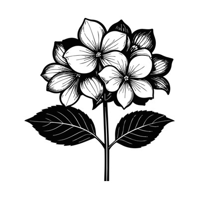 Hydrangea Line SVG cut file