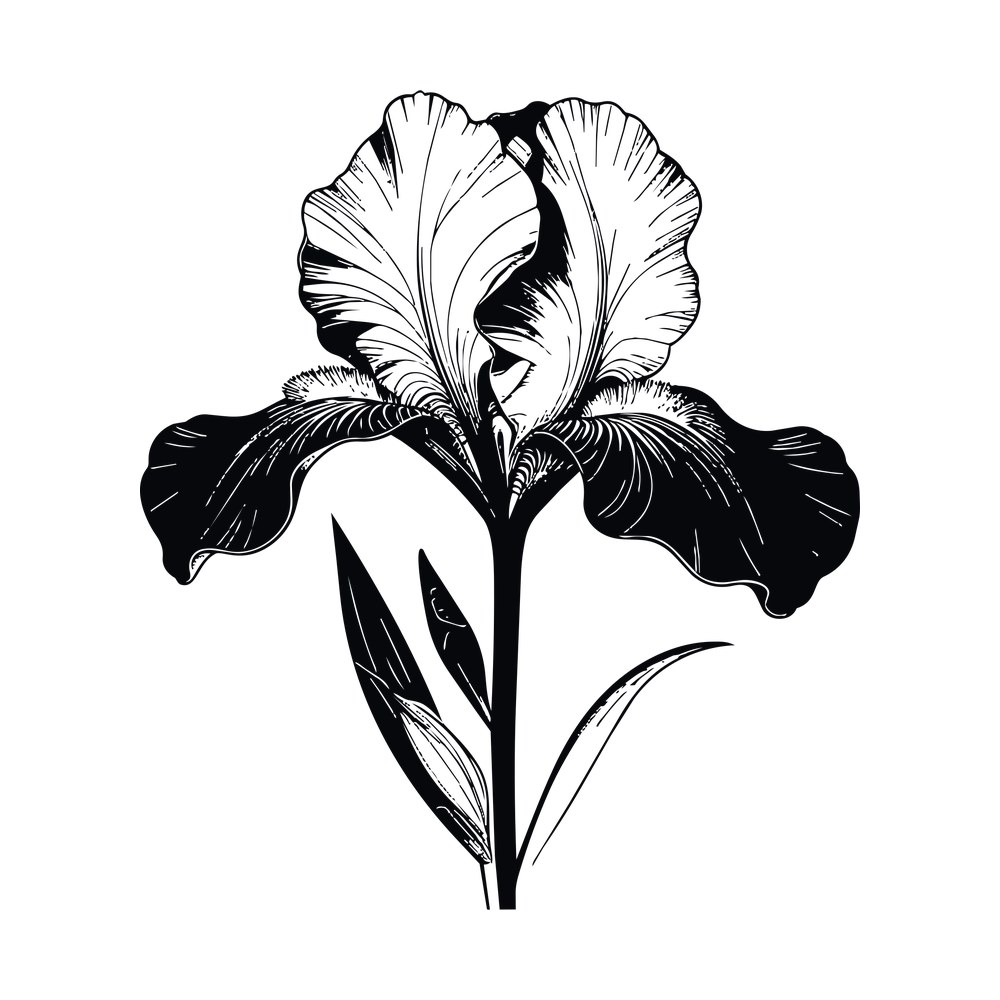 Iris Line SVG cut file – SVG, PNG, DXF