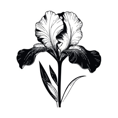 Iris Line SVG cut file