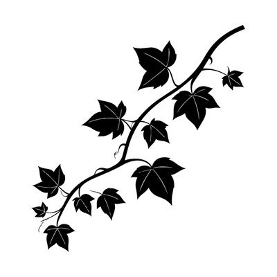 Ivy Vine SVG cut file