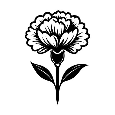 January Carnation Birth Flower SVG cut file