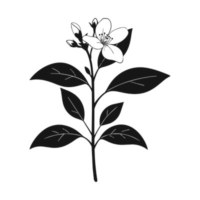 Jasmine Sprig Minimal Side SVG cut file