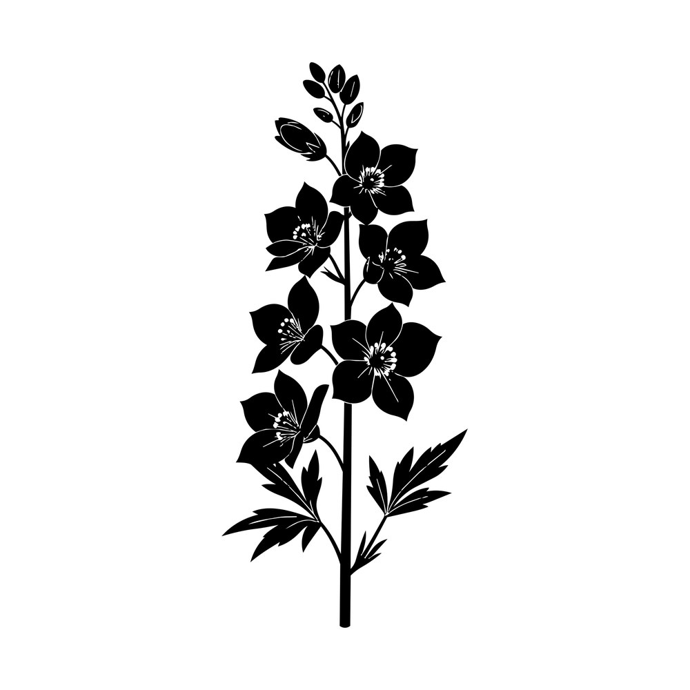 Black larkspur stem with open five-petal flowers, buds and feathery leaves, July birth flower