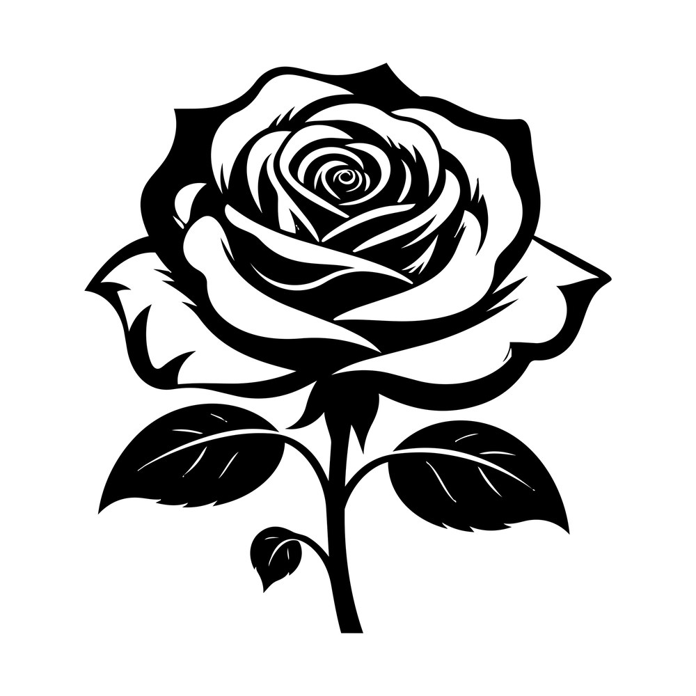 Black and white rose in bloom on a thorned stem with two leaves, June birth flower