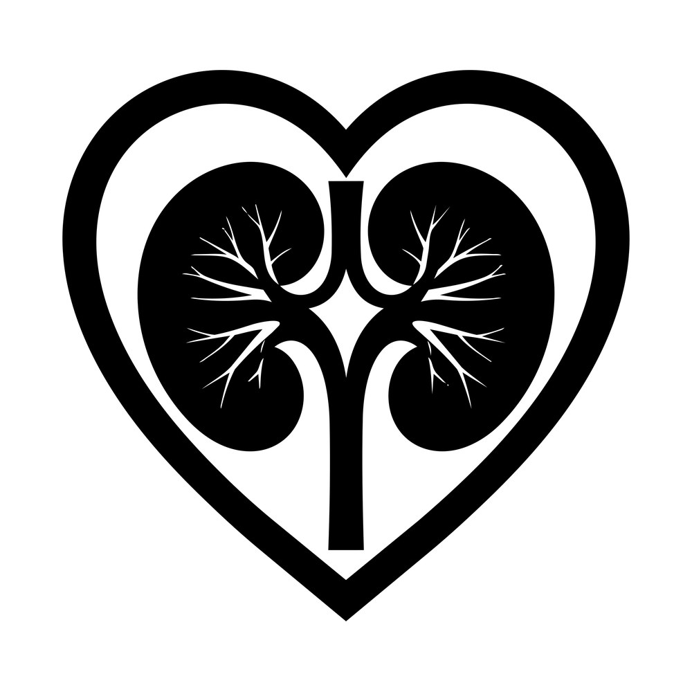 Black kidney pair with branching vessels framed by a heart outline