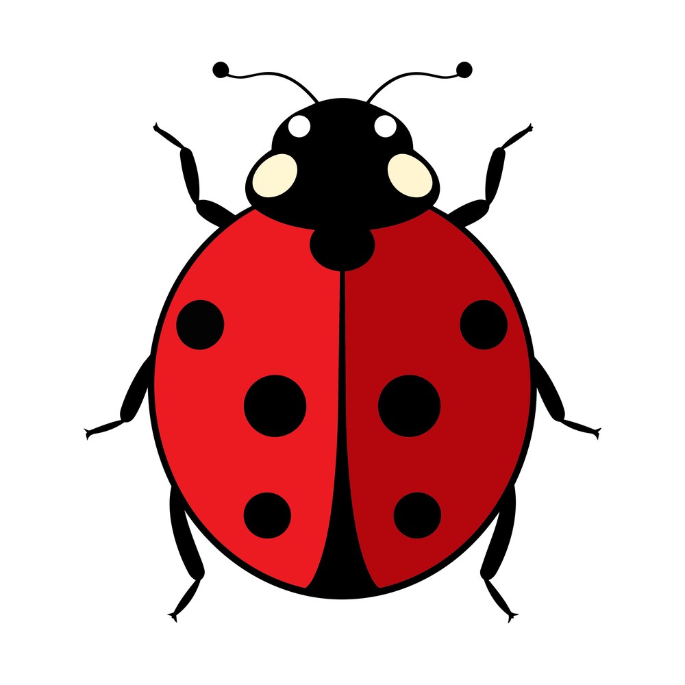 Ladybird Silhouette – original artwork without the sticker border