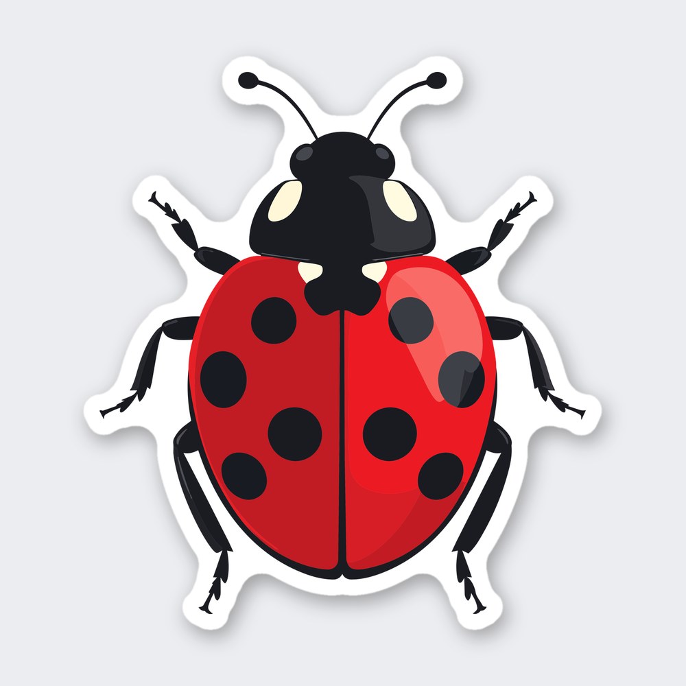Cartoon ladybug from above with glossy red spotted shell, black head and six jointed legs