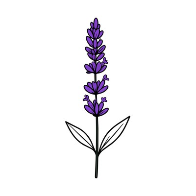 Lavender Line SVG cut file