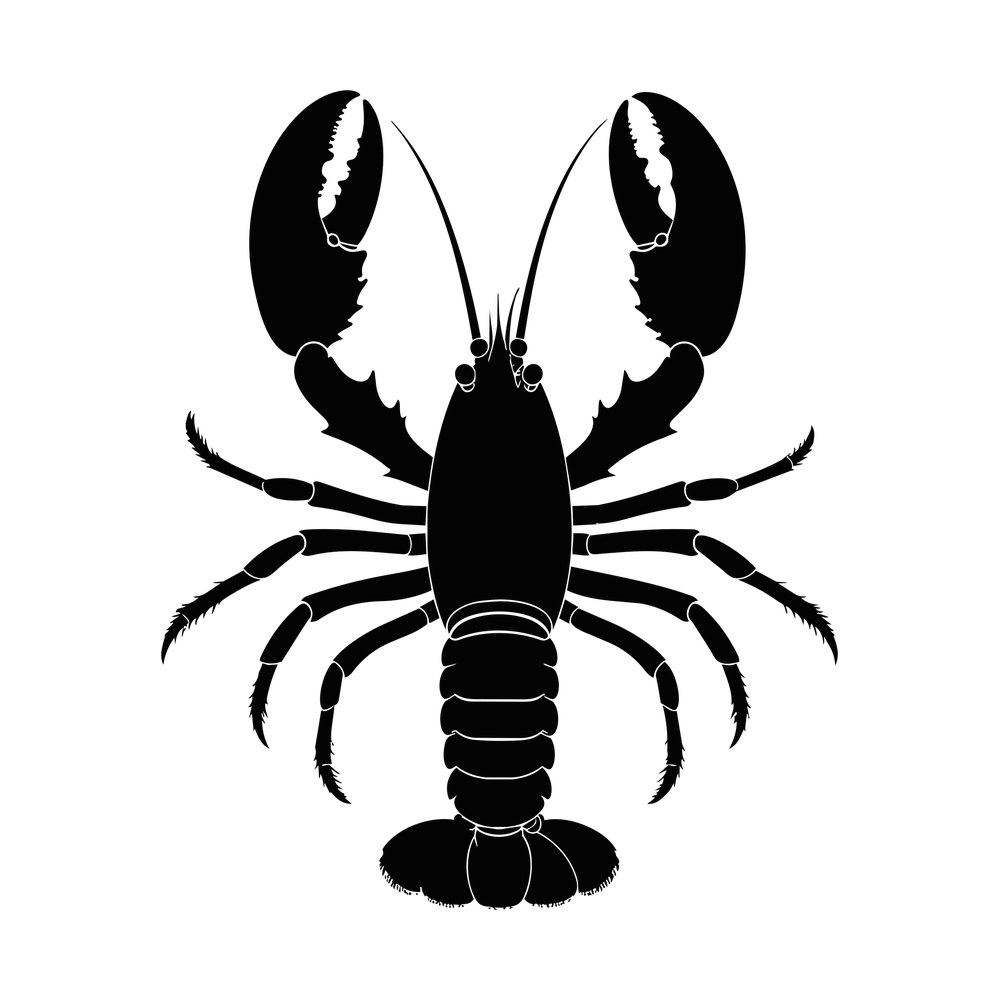 Black lobster silhouette from above with open claws, long antennae and fan tail