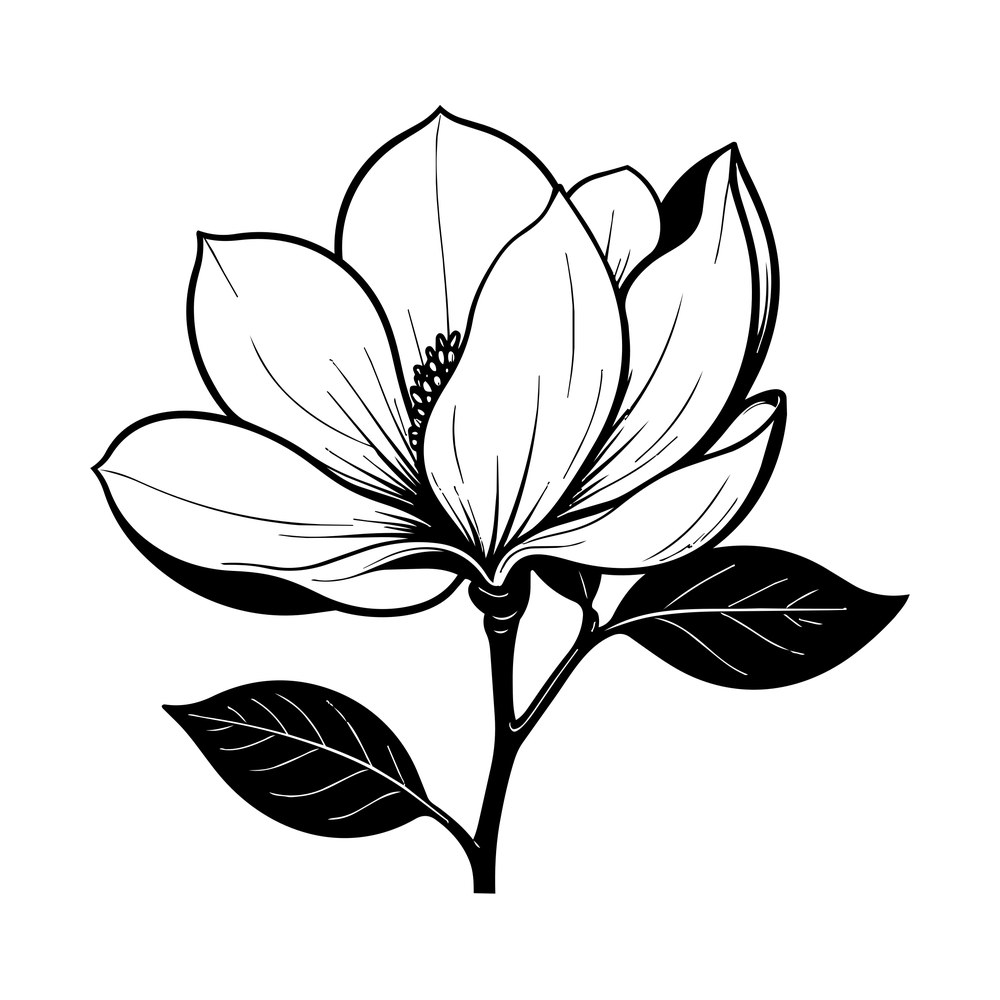 Magnolia Line SVG cut file – SVG, PNG, DXF