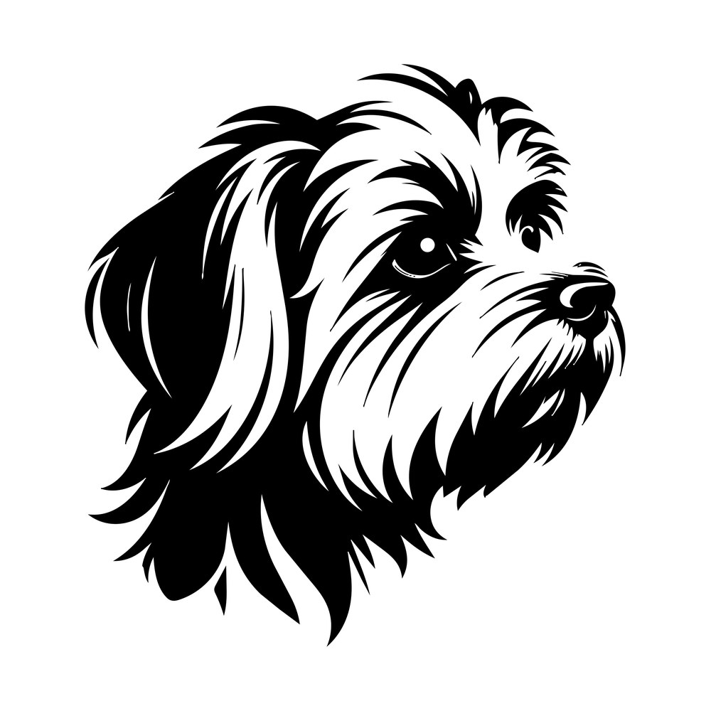 Maltese Silhouette SVG cut file – SVG, PNG, DXF