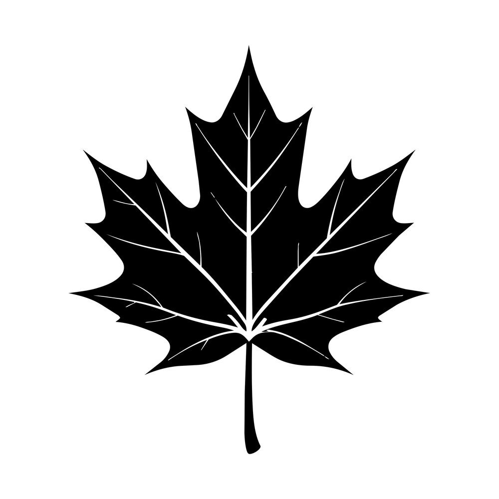Solid black maple leaf with cut-out branching veins and a curved stem