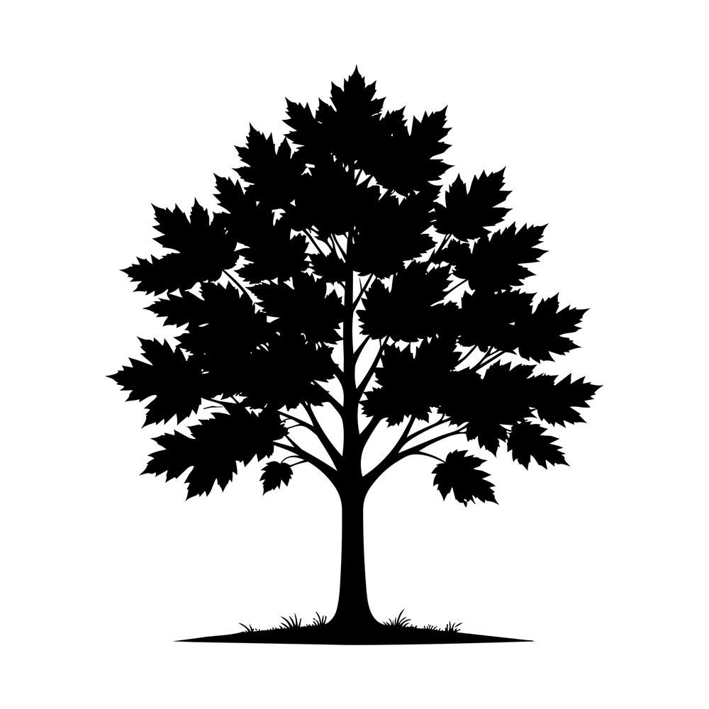 Black silhouette of a maple tree with full leafy canopy and grass at its base