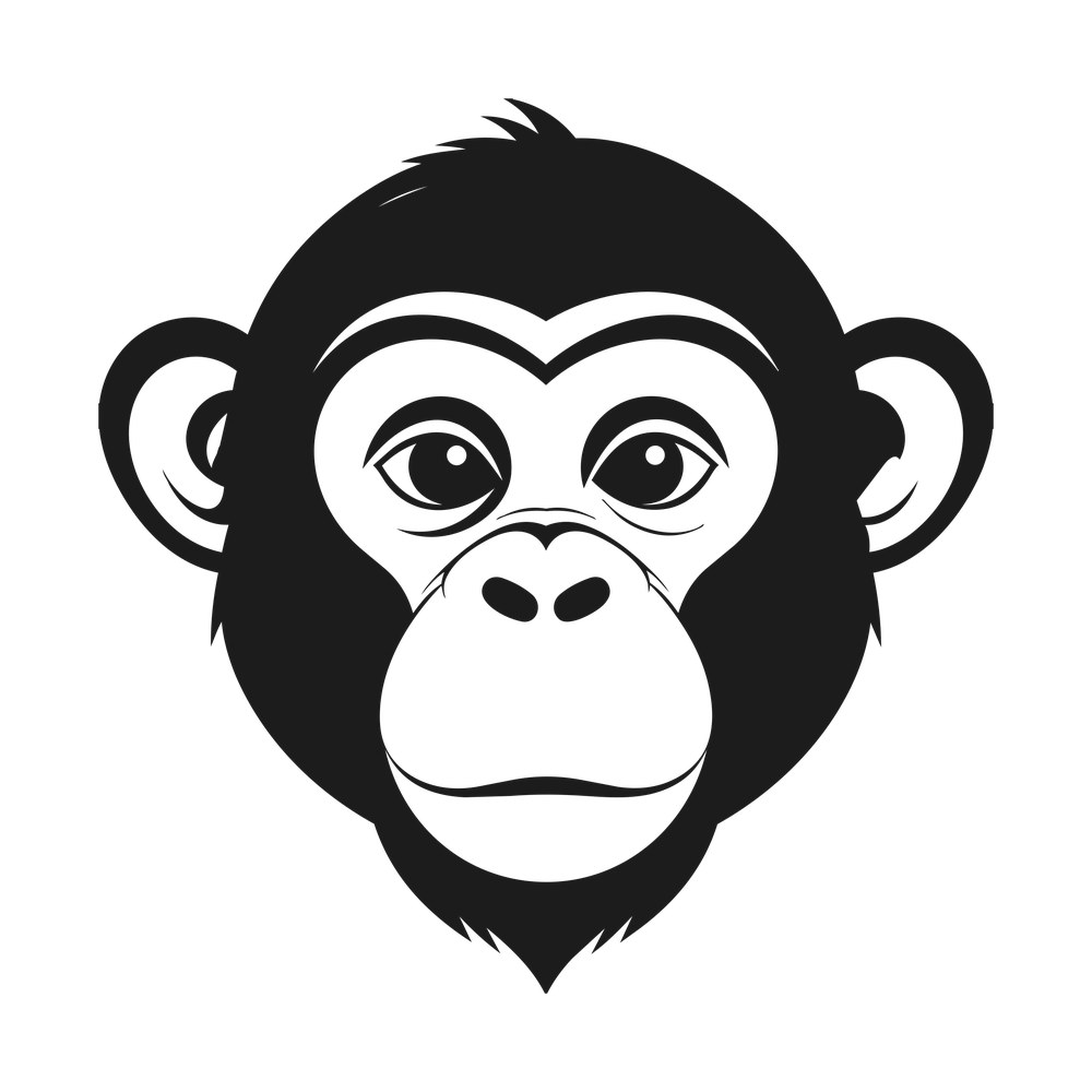 Bold black and white monkey face with round ears, wide muzzle and half-lidded eyes