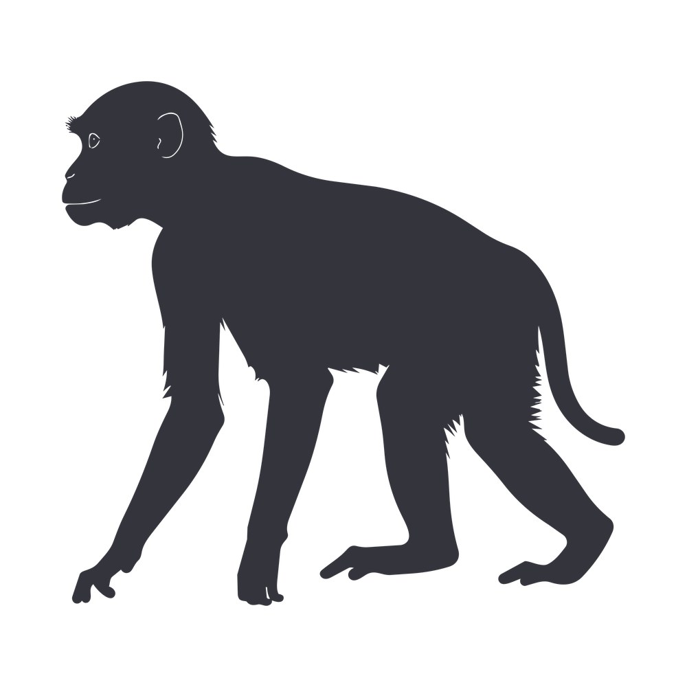 Monkey SVG cut file – SVG, PNG, DXF