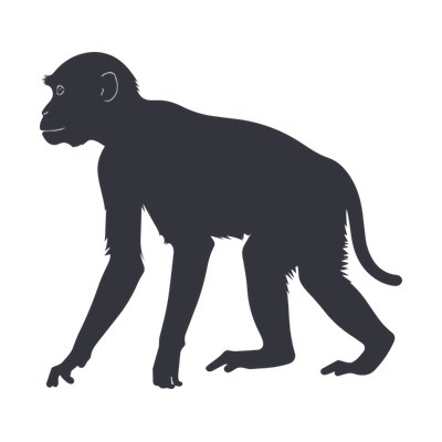 Monkey SVG cut file