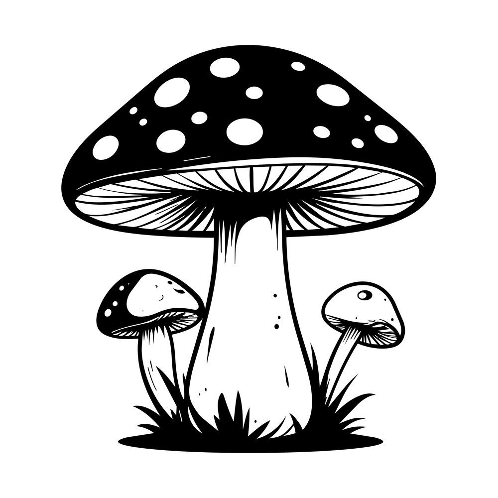 Black and white spotted toadstool with two smaller mushrooms and grass tufts at the base