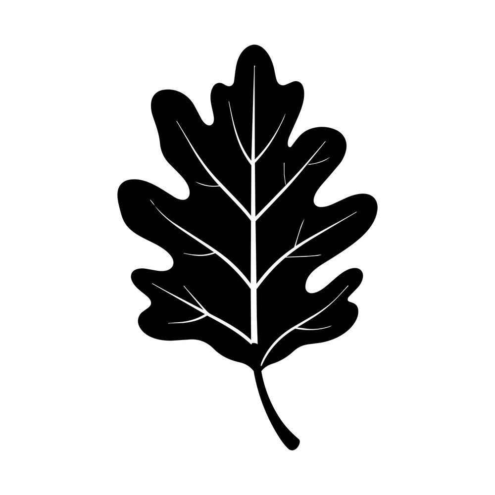 Black silhouette of a single oak leaf with cut-out vein lines and a curved stem