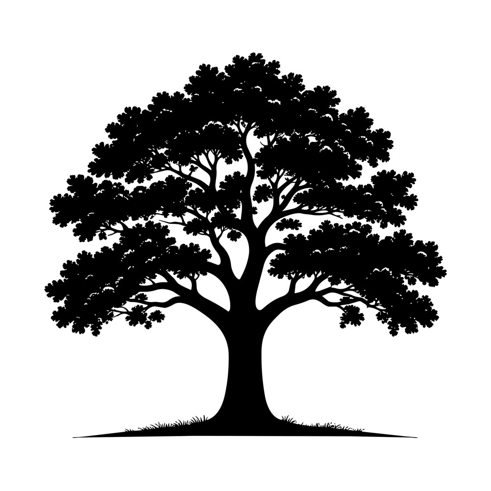 Black silhouette of a broad oak tree with leafy canopy, split trunk and grass at the base