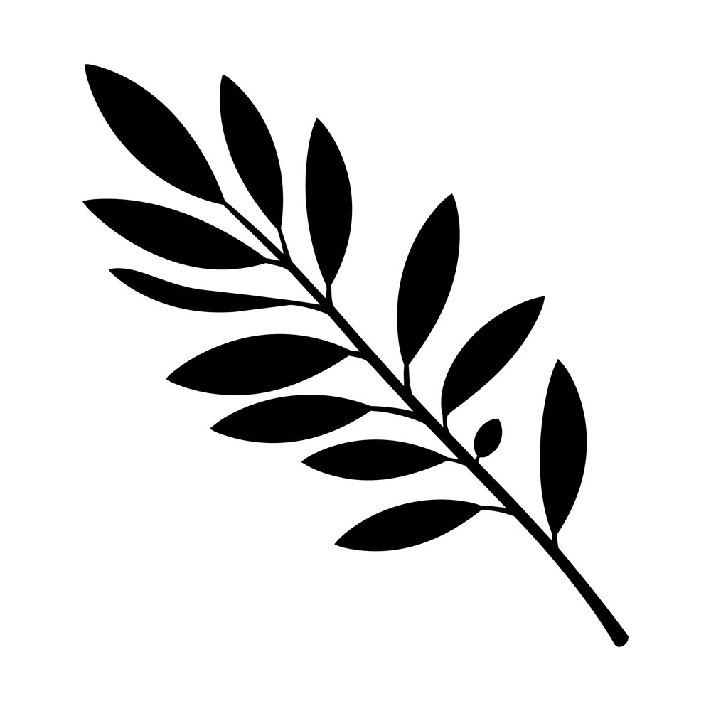 Black olive branch cut file with eleven pointed leaves and a small bud on a curved stem