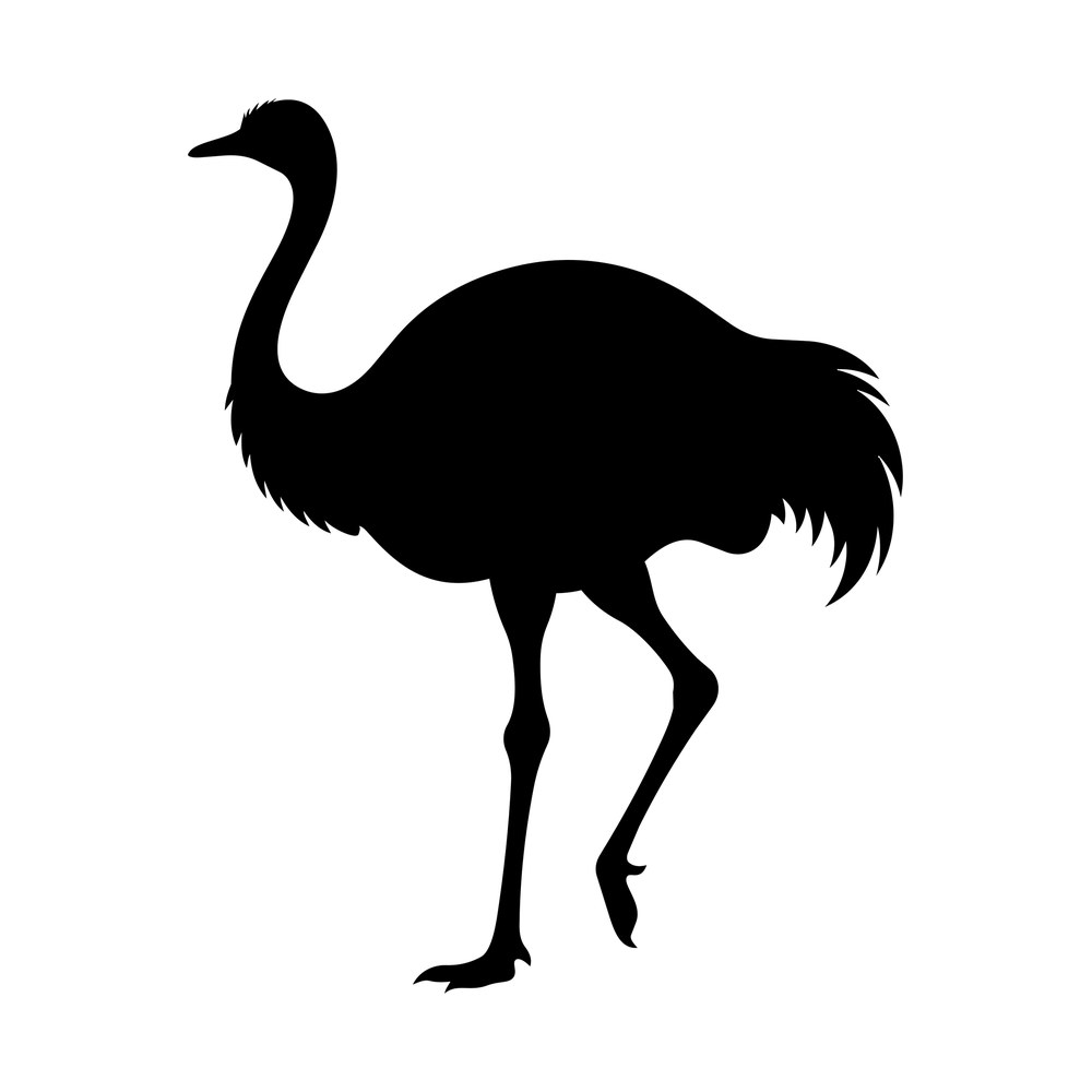 Black ostrich silhouette walking in profile with long neck, plumed tail and raised leg