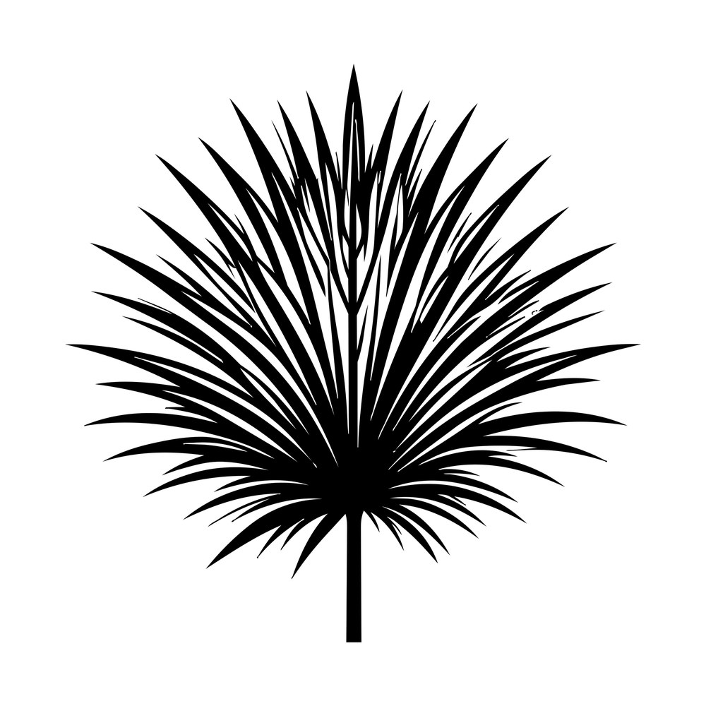 Black silhouette of a fan-shaped palmetto palm leaf with narrow pointed fronds on a straight stem