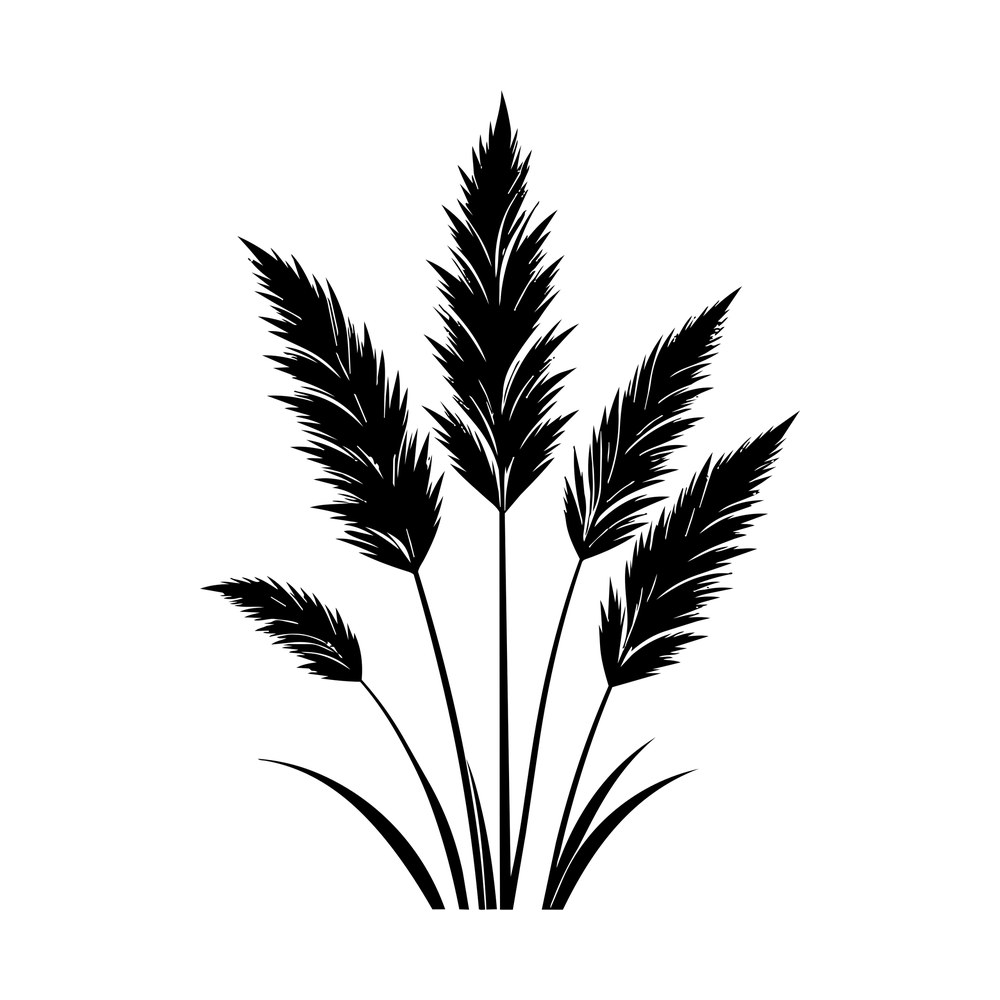 Black silhouette of five feathery pampas grass plumes on slim stems with grass blades below
