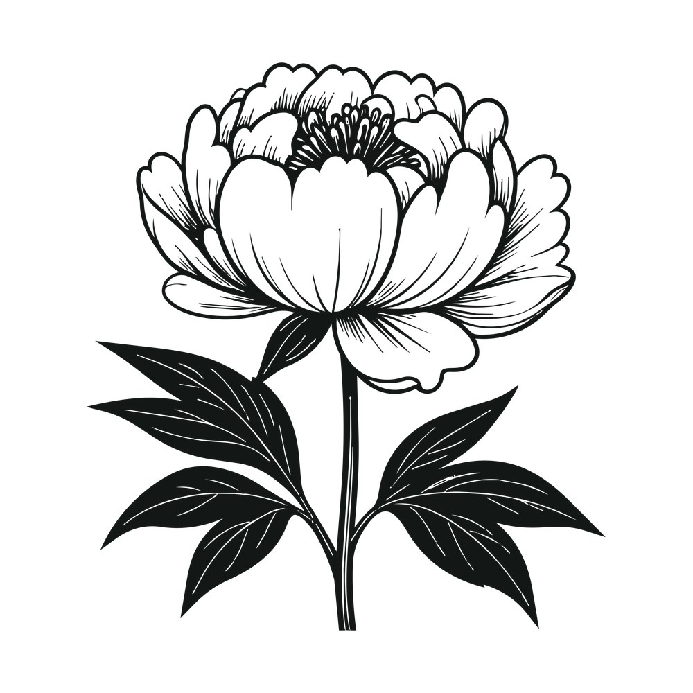 Peony Line SVG cut file – SVG, PNG, DXF