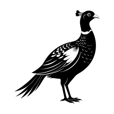 Pheasant Silhouette SVG cut file