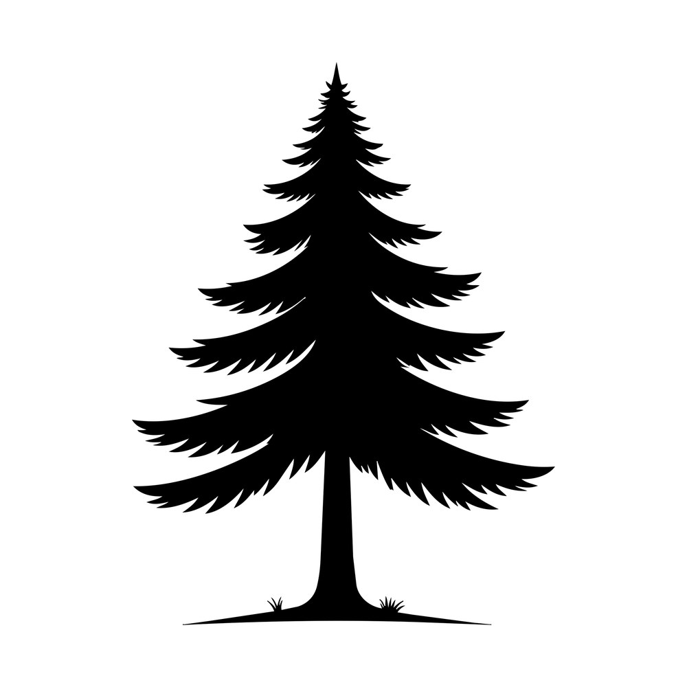 Black silhouette of a tall pine tree with layered branches and grass at its base
