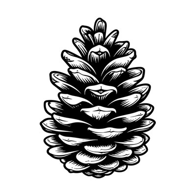 Pinecone SVG cut file
