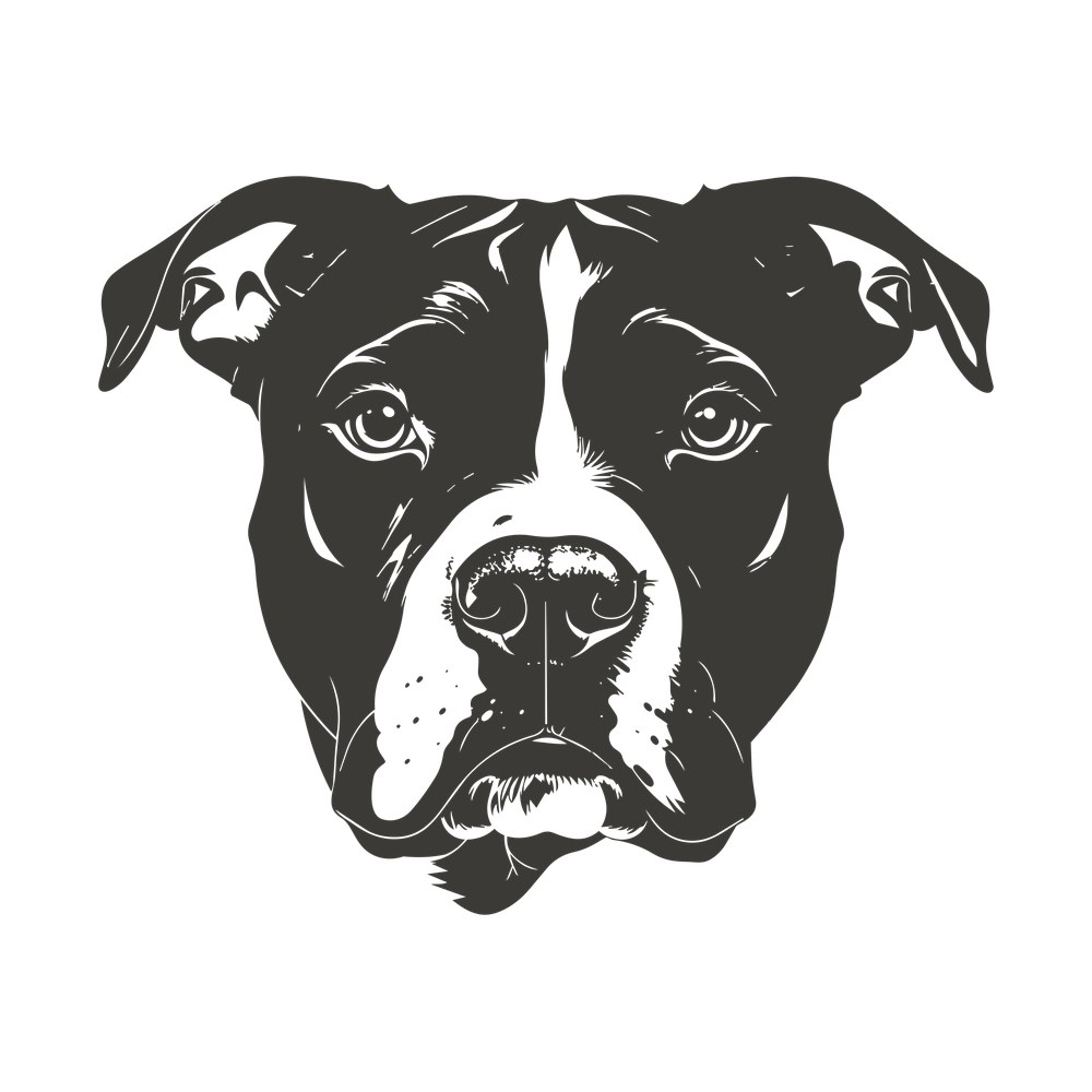 Front view pit bull head silhouette with folded ears, white blaze and detailed fur strokes