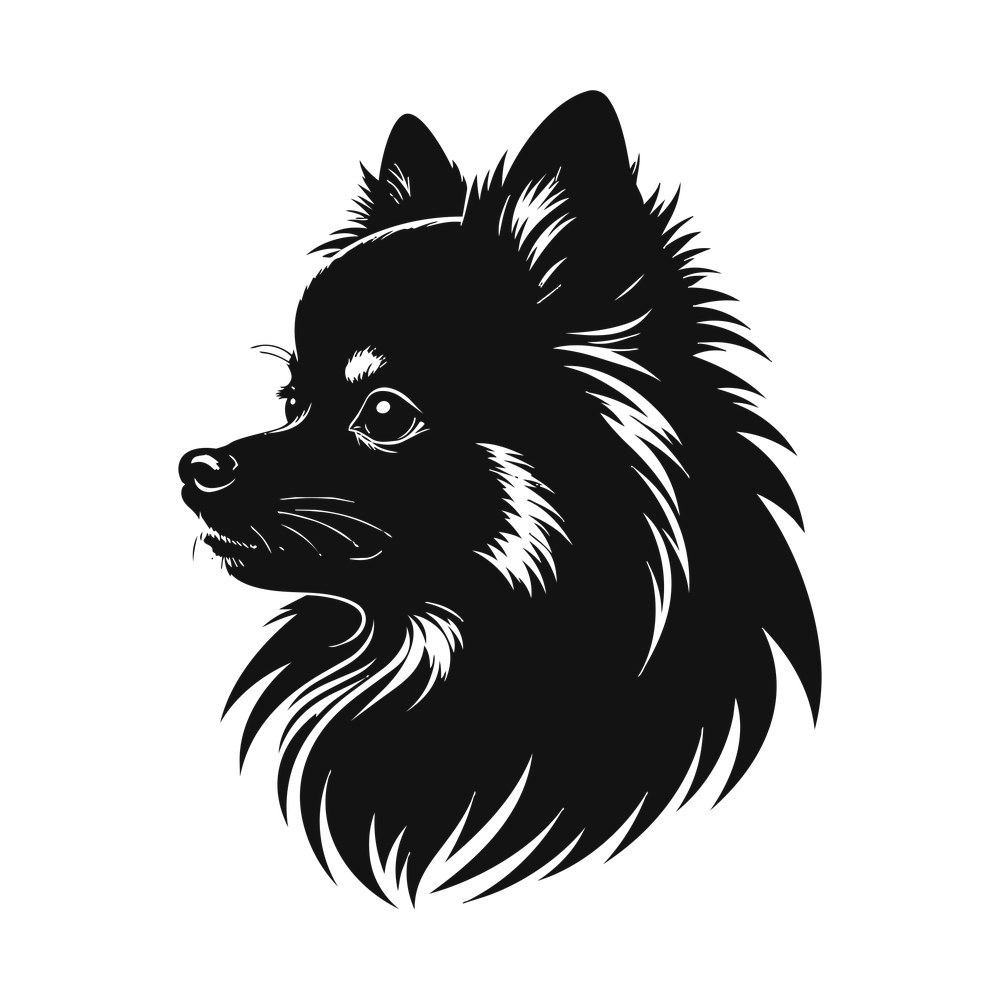 Pomeranian Silhouette SVG cut file – SVG, PNG, DXF