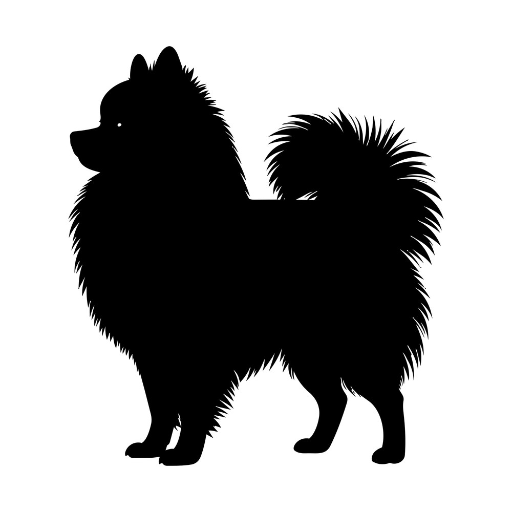 Black silhouette of a fluffy Pomeranian dog standing in profile with a plumed tail curled over its back