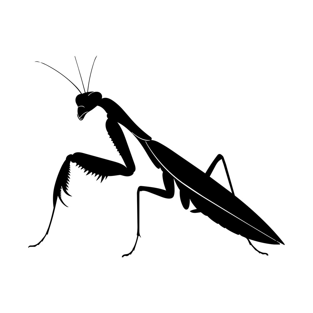 Black praying mantis silhouette in profile with raised spiked forelegs and long antennae