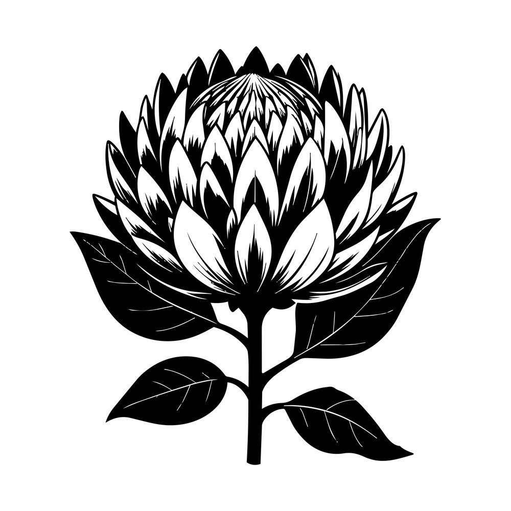 Protea Line SVG cut file – SVG, PNG, DXF
