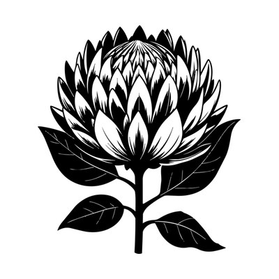 Protea Line SVG cut file