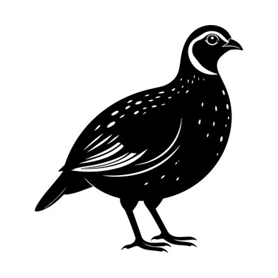 Quail Silhouette SVG cut file