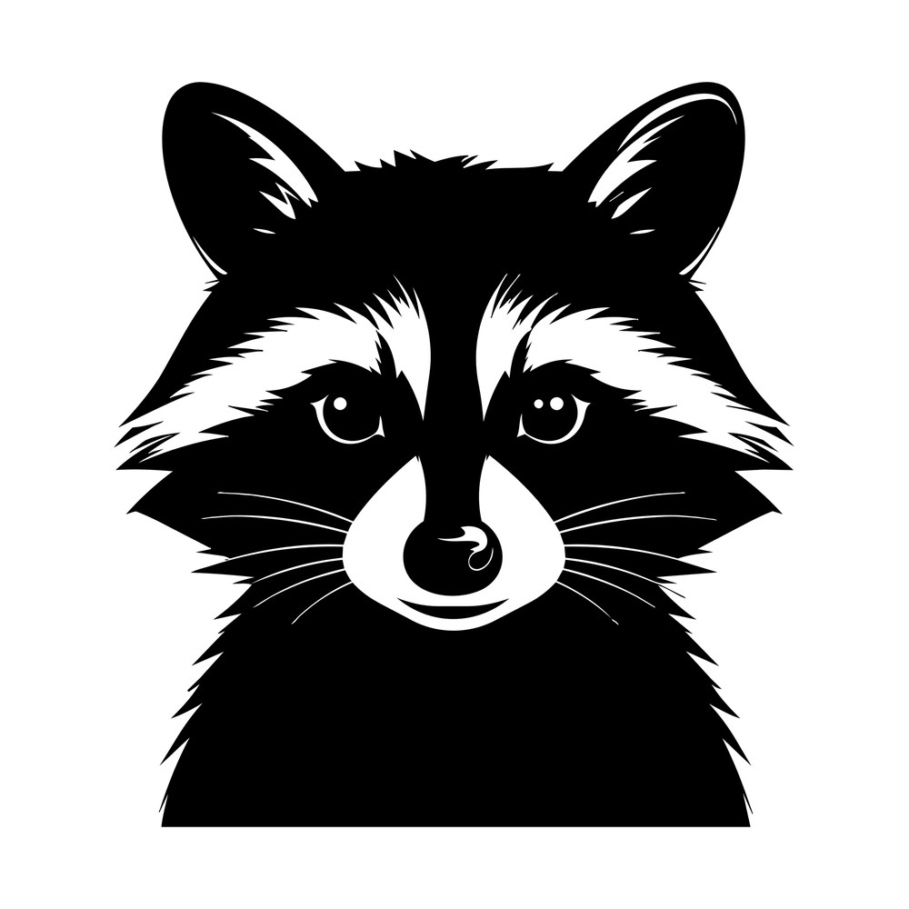 Black and white raccoon head facing forward with bandit mask, tufted ears and whiskers