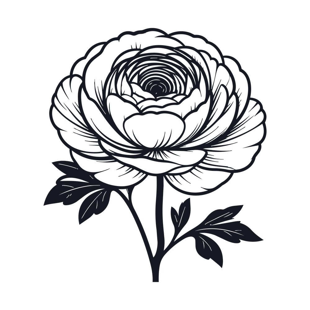 Ranunculus Line SVG cut file – SVG, PNG, DXF
