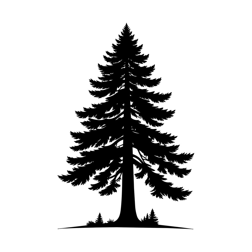 Black silhouette of a tall redwood tree with drooping branches and two small saplings