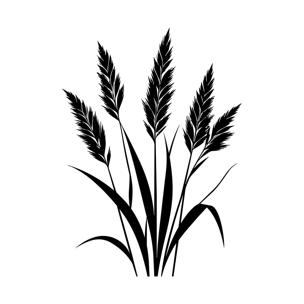 Black silhouette of reed grass with five feathery plumes above long arching blades