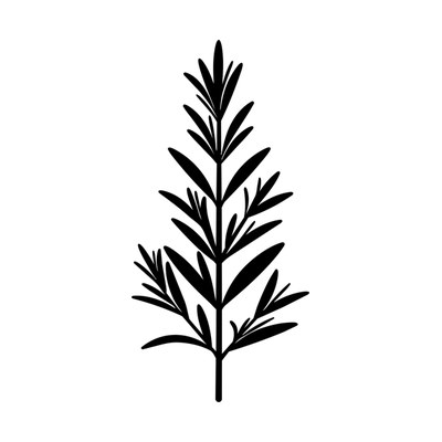 Rosemary Sprig SVG cut file