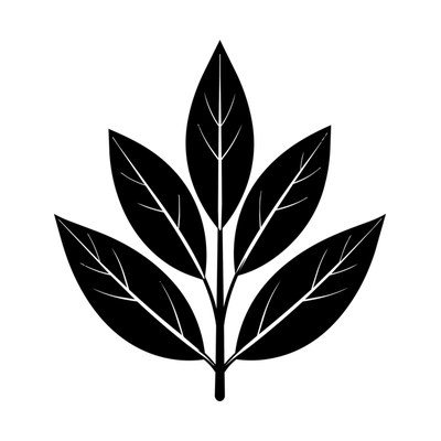 Sage Leaf SVG cut file