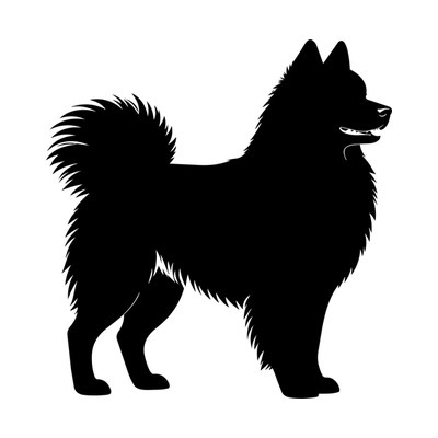 Samoyed SVG cut file